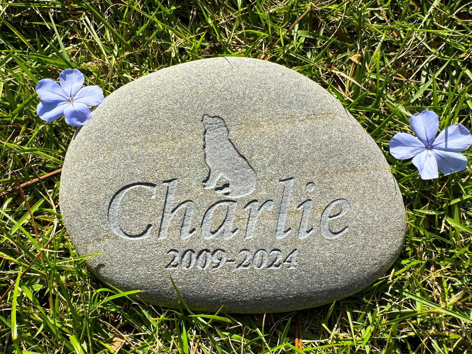 Bia đá cuội tự nhiên cho thú cưng - khắc hình và thông tin kỷ niệm về thú cưng yêu quý